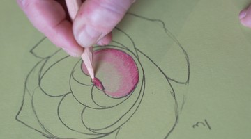 Dessiner une fleur