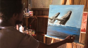 Dessiner des baleines