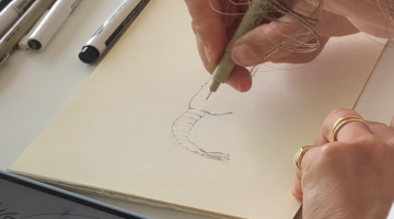Illustration Crustacé